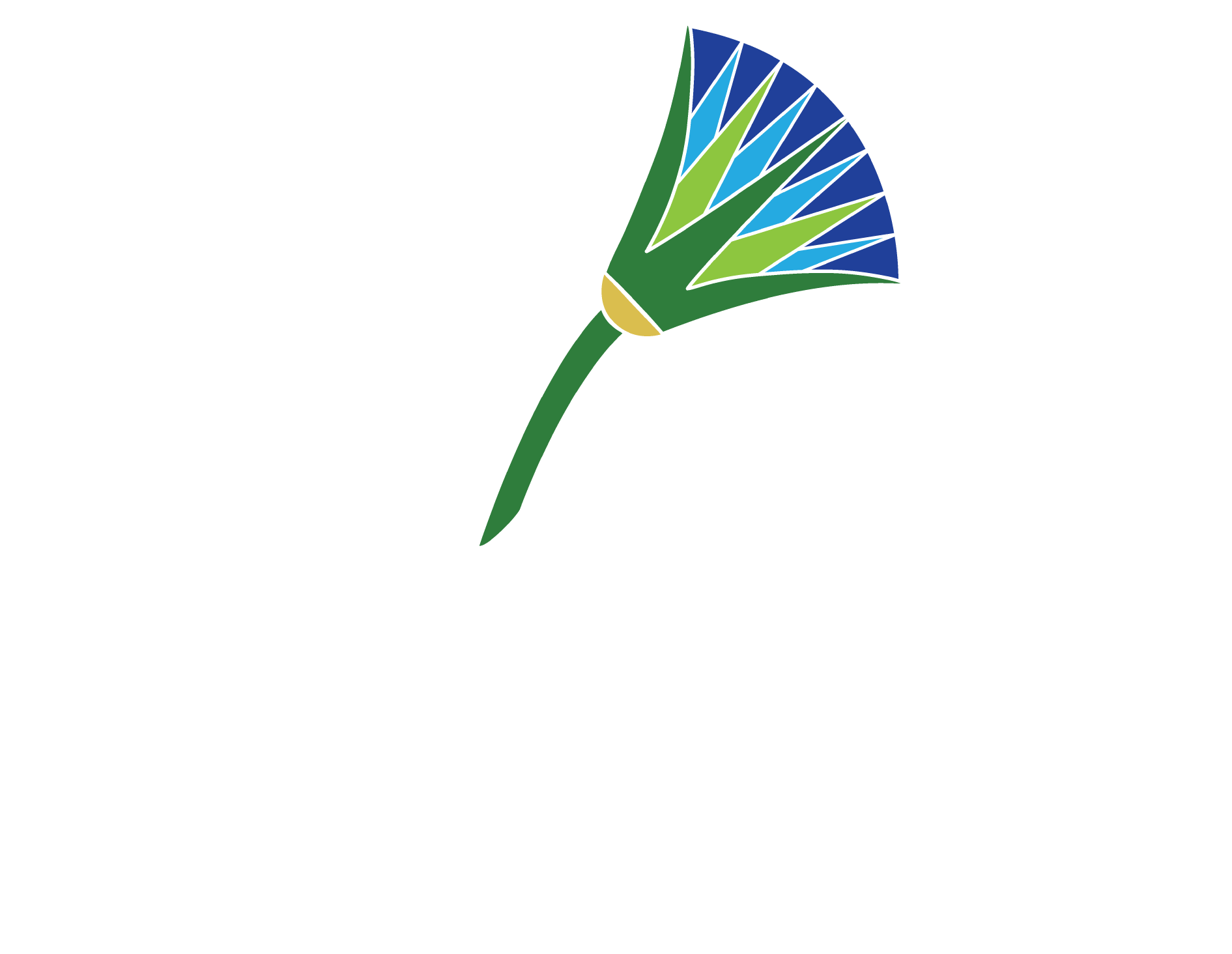 Seahorse Oracle